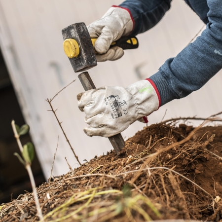 Lavorazione Radici di Ulivo per Interior Design