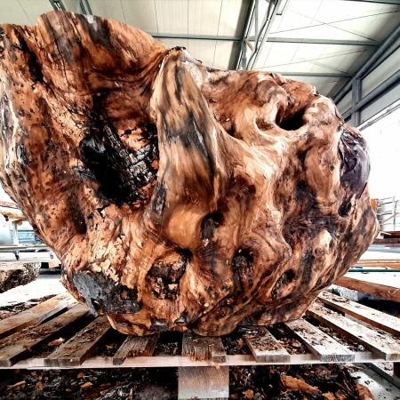 Immagine 2 di Coffee Table in Tronco di Ulivo lavorato a mano Naturanera - TERRA