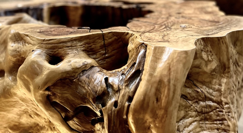 Coffee Table in Tronco di Ulivo lavorato a mano Naturanera - TERRA